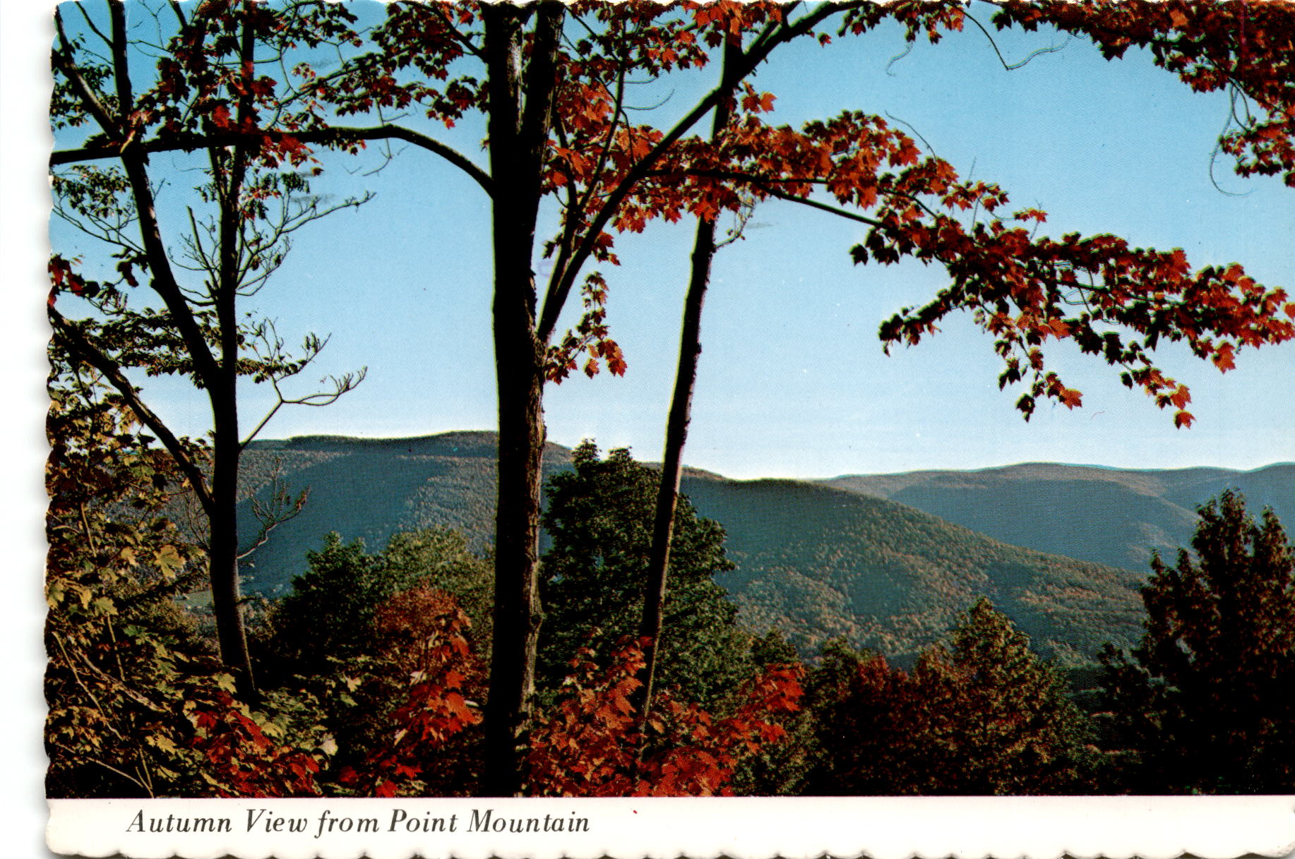 Point Mountain, Webster County, West Virginia, Wilmington. Postcard ...